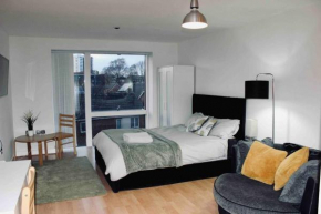 Modern City Central Studio APT